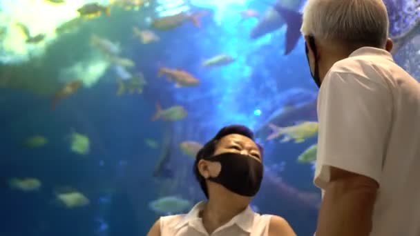 Azji Senior Para Nowe Normalne Randki Akwarium Piękny Podwodny Tunel — Wideo stockowe