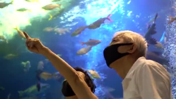 Asijské Senior Pár Nový Normální Dating Aquarium Krásný Podvodní Tunel — Stock video