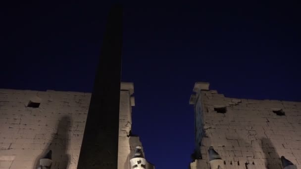 卢克索神殿入夜 装饰建筑 美化美丽的历史遗迹 — 图库视频影像