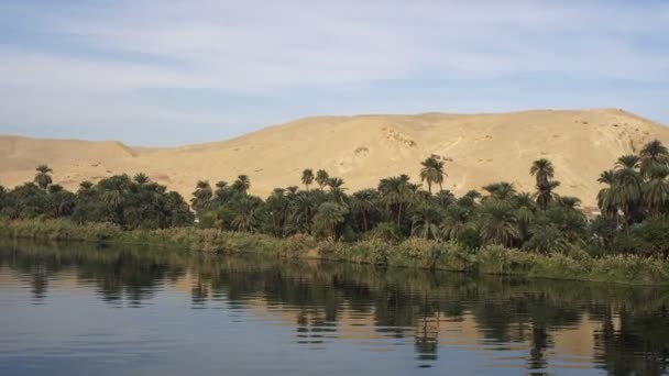 Mısır Nil Nehri Gezi Gezisinde Çöl Palmiye Manzarası — Stok video