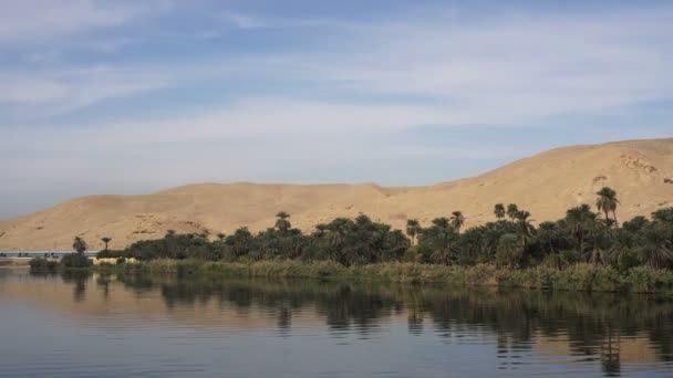 埃及尼罗河游轮之旅的荒漠与棕榈景观 — 图库视频影像