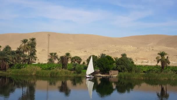 Egypten Nilen Sida Utsikt Felucca Båt Och Telefon Signaltorn — Stockvideo