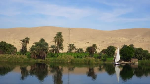 Egypten Nilen Sida Utsikt Felucca Båt Och Telefon Signaltorn — Stockvideo