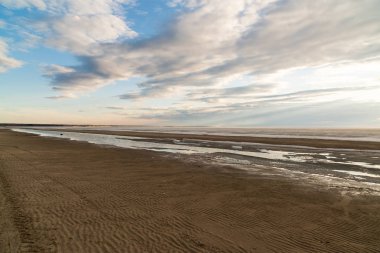 Bahar manzara. Ob rezervuar üzerinde eriyen kar. Rusya, Sibirya, Novosibirsk bölgesi.