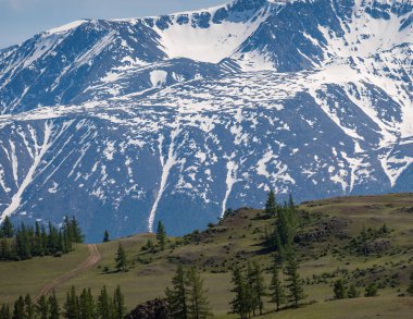 Dağ doruklarına zemin karşı engebeli arazide yeşil larch karla kaplı. Altay, Rusya Cumhuriyeti.