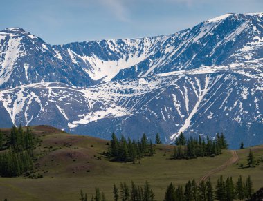 Dağ doruklarına zemin karşı engebeli arazide yeşil larch karla kaplı. Altay, Rusya Cumhuriyeti.