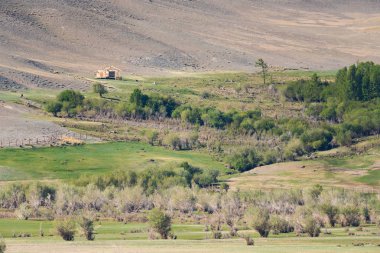 Yabani bitki örtüsü ortasında bir dağ yamacında yarım kalmış bir ahşap ev çerçeve. Altay, Rusya Cumhuriyeti.