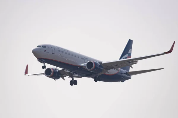 俄罗斯新西伯利亚 2018年5月2日 737 8Lj Bfb Aeroflot 在国际机场着陆的方法托尔马切沃 — 图库照片