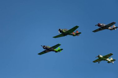 Novosibirsk, Rusya Federasyonu - 5 Ağustos 2018: uzun bir grup yak-52 uçaklarının hava, bir program yapar görüş açısı göstermek, Mochishche Havaalanı.