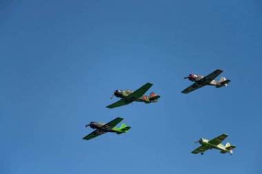Novosibirsk, Rusya Federasyonu - 5 Ağustos 2018: uzun bir grup yak-52 uçaklarının hava, bir program yapar görüş açısı göstermek, Mochishche Havaalanı.