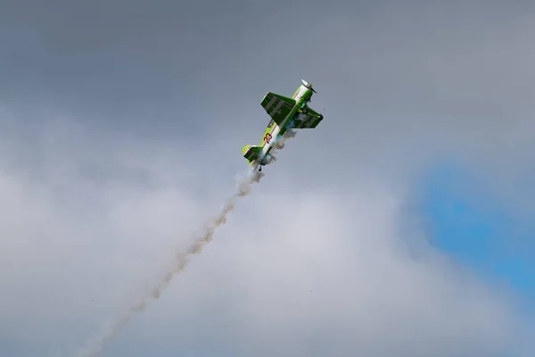 Novosibirsk Ryssland Augusti 2018 Lång Vinkel Syn Yak Himlen Utför — Stockfoto