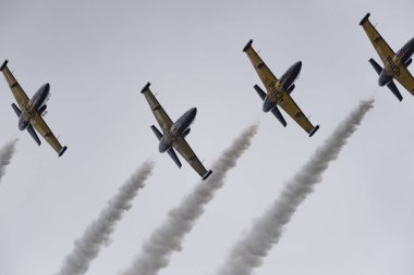 Novosibirsk, Rusya Federasyonu - 5 Ağustos 2018: Akrobasi ekibi Russ L-39 Albatros uçakta program hava gösterisi yapar.