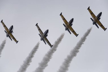 Novosibirsk, Rusya Federasyonu - 5 Ağustos 2018: Akrobasi ekibi Russ L-39 Albatros uçakta program hava gösterisi yapar.