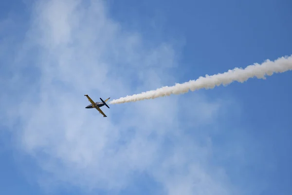 Novosibirsk Rusya Federasyonu Ağustos 2018 Akrobasi Ekibi Russ Albatros Uçakta — Stok fotoğraf