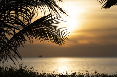 Günbatımı güneş hurma ile görünümünü bırakır Lonely Beach, Koh Chang, Tayland.