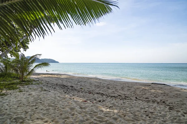 Vidvinkel Bild Lonely Beach Koh Chang Med Växer Palmer Och — Stockfoto