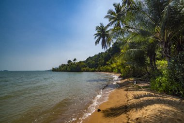 Palmiye ağaçları ve deniz ile yaz manzara. Tayland, Koh Chan