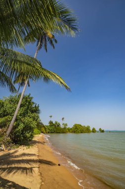 Palmiye ağaçları ve deniz ile yaz manzara. Tayland, Koh Chan
