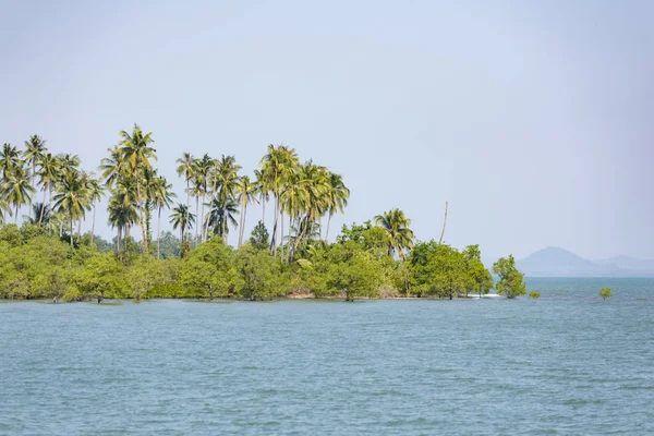 Высокие кокосовые пальмы на восточном побережье Ко Чанг (Koh Chang) . — стоковое фото