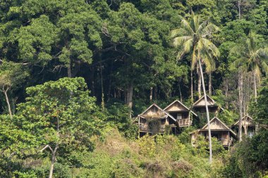 Tepedeki palmiye ağaçları arasında ahşap bungalovlar.