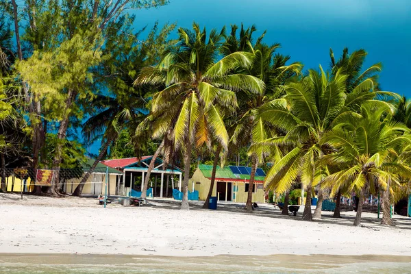 Dominicaanse Republiek Saona Island Mano Juan Beach Het Vissersdorp — Stockfoto