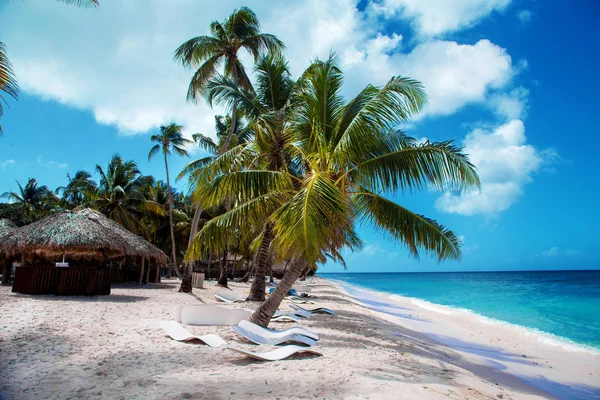 Dominicaanse Republiek Saona Island Mano Juan Beach Het Vissersdorp — Stockfoto