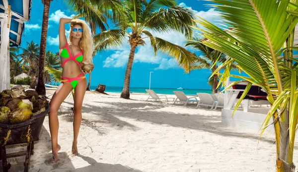 トレンディなビキニサングラスの美しい日焼けした女の子は ビーチ熱帯の島で彼女の手にココナッツの束で立っています 夏休み 世界中を旅し 新しい季節の水着を宣伝 イメージ — ストック写真