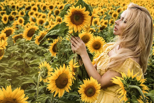 Mulher Bonita Campo Girassóis Vestido Amarelo — Fotografia de Stock