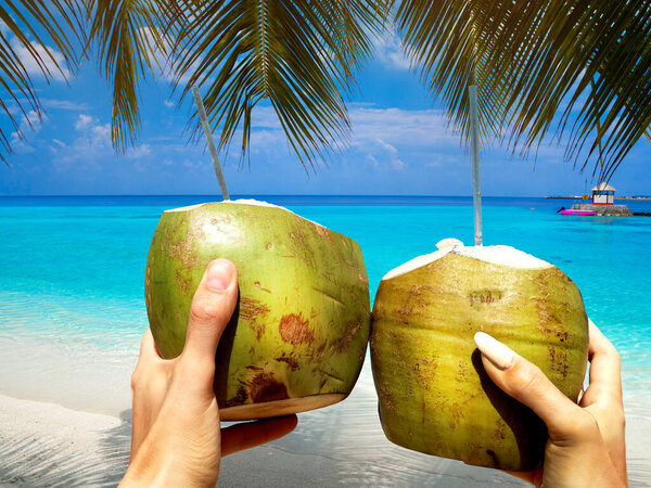 Refreshing coconut cocktail in woman and man hand. Coconut water drink on the Maldives beach. Cheers! Bless you! Toast.