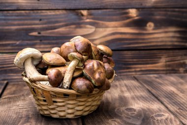 Tahta zeminin üzerinde mantar mantarı var. Sonbahar mantarları. Tahta Arka plan üzerinde Boletus, ahşap kırsal masaya yakın. Lezzetli organik mantar pişirmek. Mantar sezonu..