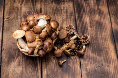 Tahta zeminin üzerinde mantar mantarı var. Sonbahar mantarları. Tahta Arka plan üzerinde Boletus, ahşap kırsal masaya yakın. Lezzetli organik mantar pişirmek. Mantar sezonu..