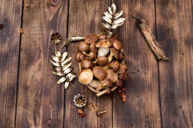 Orman hasırlı sepetten mantar topluyor. Üst görünüm fotokopi alanı. Masada taze çiğ mantar var. Tahta masadaki mantarlar..