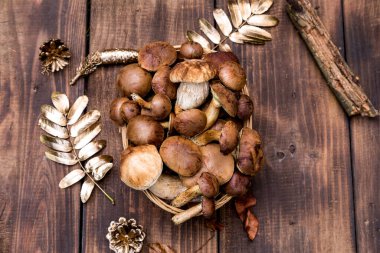Orman hasırlı sepetten mantar topluyor. Üst görünüm fotokopi alanı. Masada taze çiğ mantar var. Tahta masadaki mantarlar..