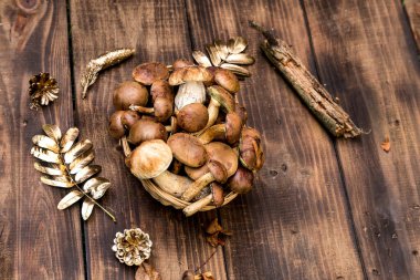 Orman hasırlı sepetten mantar topluyor. Üst görünüm fotokopi alanı. Masada taze çiğ mantar var. Tahta masadaki mantarlar..