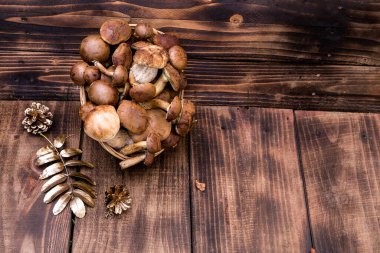 Orman hasırlı sepetten mantar topluyor. Üst görünüm fotokopi alanı. Masada taze çiğ mantar var. Tahta masadaki mantarlar..