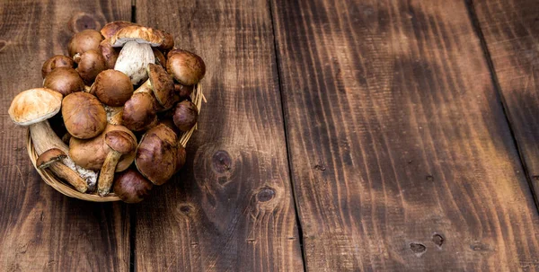 Fungo Boletus Sfondo Legno Funghi Autunno Boletus Sfondo Legno Vicino — Foto Stock