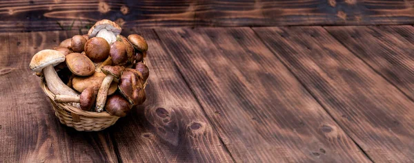 Orman hasırlı sepetten mantar topluyor. Üst görünüm fotokopi alanı. Masada taze çiğ mantar var. Tahta masadaki mantarlar..