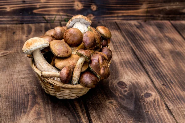 Orman hasırlı sepetten mantar topluyor. Üst görünüm fotokopi alanı. Masada taze çiğ mantar var. Tahta masadaki mantarlar..