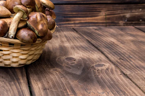 木製の背景にキノコのボレトス 秋のキノコ 木製の背景の上にボレトス 木製の素朴なテーブルの上に閉じます おいしい有機キノコを調理します キノコの季節 — ストック写真