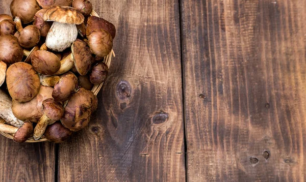 Svamp Boletus Över Trä Bakgrund Höstsvamp Boletus Över Trä Bakgrund — Stockfoto