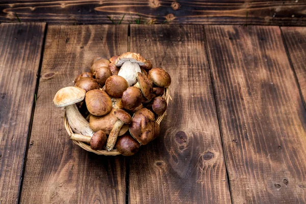 Svamp Boletus Över Trä Bakgrund Höstsvamp Boletus Över Trä Bakgrund — Stockfoto