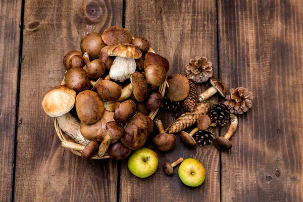 Boletus Grzybowy Nad Drewnianym Tłem Jesienne Grzyby Boletus Nad Drewnianym — Zdjęcie stockowe