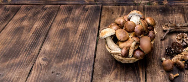 Orman hasırlı sepetten mantar topluyor. Üst görünüm fotokopi alanı. Masada taze çiğ mantar var. Tahta masadaki mantarlar..