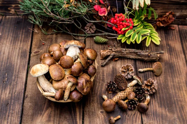 Foresta Raccolta Funghi Cesto Vimini Vista Dall Alto Copiare Spazio — Foto Stock