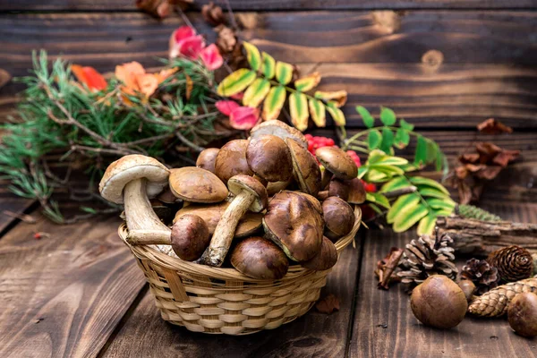 Boletus Grzybowy Nad Drewnianym Tłem Jesienne Grzyby Boletus Nad Drewnianym — Zdjęcie stockowe