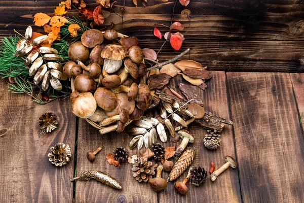 Orman hasırlı sepetten mantar topluyor. Üst görünüm fotokopi alanı. Masada taze çiğ mantar var. Tahta masadaki mantarlar..