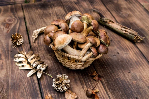 Foresta Raccolta Funghi Cesto Vimini Vista Dall Alto Copiare Spazio — Foto Stock