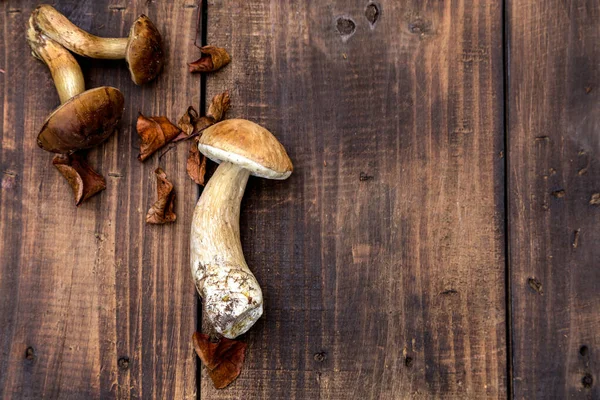 Orman mantar topluyor. Üst görünüm kopyalama alanı. Masada taze çiğ mantar var. Tahta masadaki mantarlar. Flatlay, sonbahar arkaplanı.
