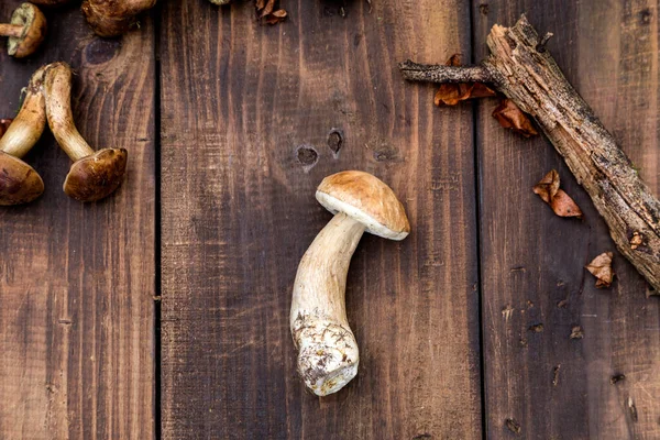 Orman mantar topluyor. Üst görünüm kopyalama alanı. Masada taze çiğ mantar var. Tahta masadaki mantarlar. Flatlay, sonbahar arkaplanı.