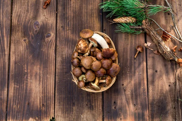 邪悪なバスケットトップビューのコピースペースで森のキノコを選ぶ テーブルの上に新鮮な生キノコ 木のテーブルの上のキノコ — ストック写真